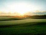 TPC Eagle Trace