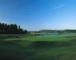 TPC Tampa Bay